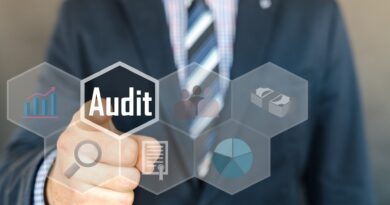 Risk In Focus 2025 : Hot topics for internal auditors